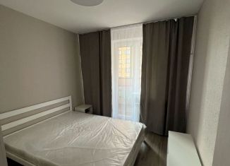 Сдам в аренду 1-комнатную квартиру, 37.4 м2, посёлок Парголово, Толубеевский проезд, 32