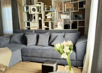 Сдаю в аренду дом, 100 м2, деревня Елагино