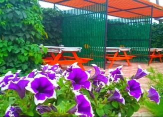 Сдается дом, 40 м2, Краснодарский край