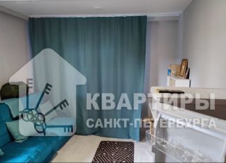 Продаю квартиру студию, 20 м2, Санкт-Петербург, улица Крыленко, 43к3, Невский район