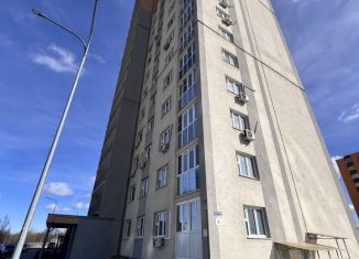 Однокомнатная квартира на продажу, 29.3 м2, Нижний Новгород, Бурнаковская улица, 95, микрорайон Бурнаковский
