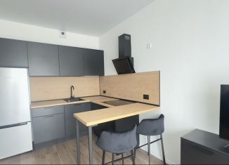 Сдам 1-ком. квартиру, 37.1 м2, городской посёлок Новоселье, Большая Балтийская улица, 10к1