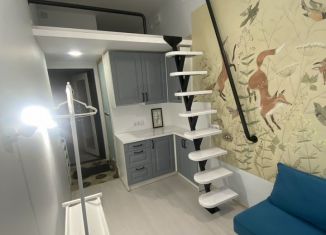 Продаю квартиру студию, 16.6 м2, Санкт-Петербург, 3-я Красноармейская улица, 2/31, муниципальный округ Измайловское