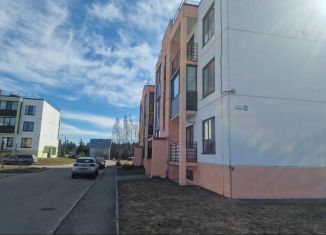 Двухкомнатная квартира на продажу, 54.5 м2, деревня Вартемяги, улица Ветеранов, 20