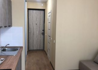 Сдается в аренду квартира студия, 22 м2, Екатеринбург, Заводская улица, 92А