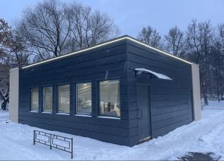 Продам торговую площадь, 100 м2, Миасс, Молодёжная улица, 2