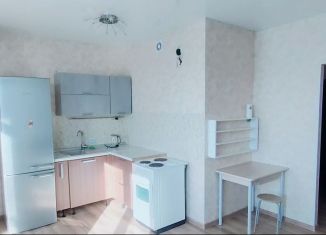 Сдаю в аренду квартиру студию, 26 м2, Екатеринбург, улица Рябинина