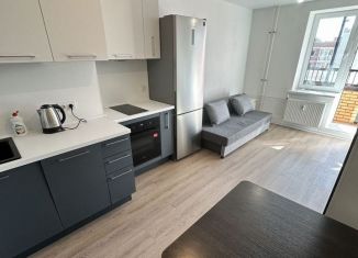 Сдается в аренду квартира студия, 24 м2, Колпино, улица Севастьянова, 32к4