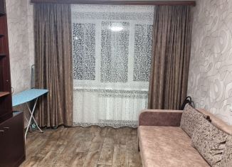 Однокомнатная квартира в аренду, 30 м2, Тула, Новомосковская улица, 17