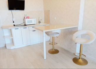 Продаю 1-ком. квартиру, 40 м2, Ростов-на-Дону, Днепровский переулок, 117с2, ЖК Днепровская Роща