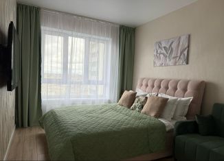 Сдам однокомнатную квартиру, 43 м2, Екатеринбург, улица Свердлова, 32Б, метро Динамо