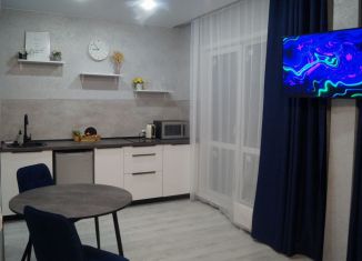 Сдаю в аренду квартиру студию, 35 м2, Новосибирск, Ленинский район, улица Ясный Берег, 3