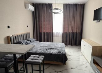 Сдается в аренду квартира студия, 27 м2, Новороссийск, улица Энгельса, 60