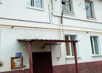 Однокомнатная квартира на продажу, 27.4 м2, Нижегородская область, Вознесенский переулок, 3