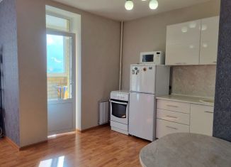 Аренда 1-комнатной квартиры, 29 м2, Верхняя Пышма, Юбилейная улица, 26А
