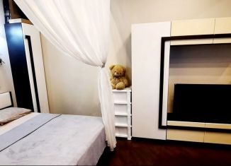 Однокомнатная квартира в аренду, 40 м2, Сочи, Виноградная улица, 123/7, микрорайон Новый Сочи