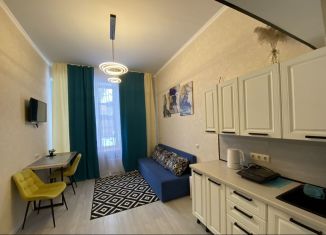 Аренда квартиры студии, 21 м2, Москва, Егорьевский проезд, 3Ас1, район Люблино