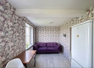 1-комнатная квартира в аренду, 47 м2, деревня Новое Девяткино, Лесная улица, 4