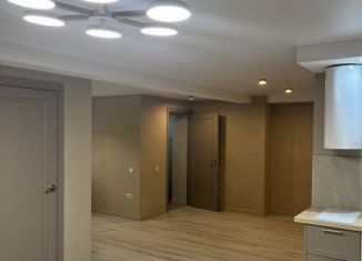 Продам помещение свободного назначения, 48 м2, Санкт-Петербург, Большая Подьяческая улица, 12, Адмиралтейский район