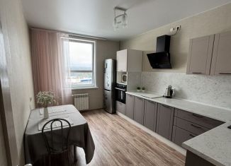 Сдается в аренду 2-комнатная квартира, 49 м2, Березники, улица Шишкина, 82