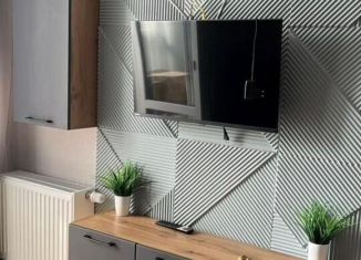 Аренда 2-ком. квартиры, 34 м2, Тула, Пряничная улица, 4