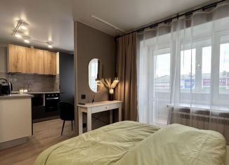 Сдаю квартиру студию, 30 м2, Еврейская АО, Советская улица