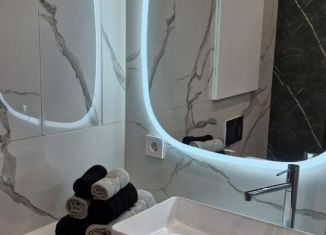 Сдам в аренду квартиру студию, 24.6 м2, Сыктывкар, Петрозаводская улица, 47, район Орбита