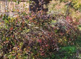 Продаю дом, 24 м2, СНТ Флора