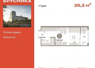 Продается квартира студия, 25.2 м2, Екатеринбург, метро Уральская