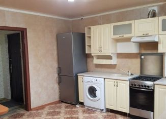 Сдается 1-ком. квартира, 49 м2, посёлок Майский, Садовая улица, 8