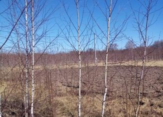 Участок на продажу, 6 сот., Дачное сельское поселение