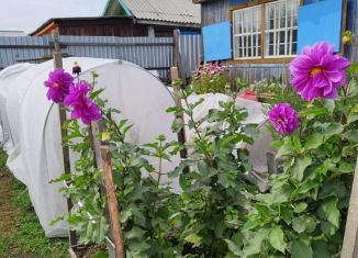 Продам дачу, 25 м2, СНТ № 6 Дымок, Вторая улица