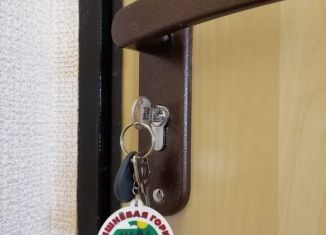 Продается квартира студия, 29 м2, посёлок Западный, улица Вишнёвая Аллея, 5