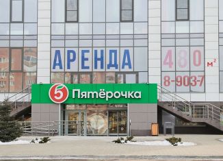 Продаю помещение свободного назначения, 459 м2, Астрахань, улица Генерала Епишева, 1А, Кировский район