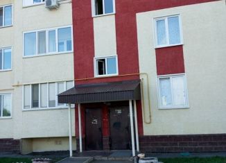 Продам 1-комнатную квартиру, 38 м2, село Кушнаренково, улица Николаева, 38