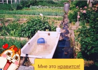 Продаю дачу, 20 м2, Березники, Советская площадь