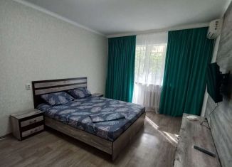 Сдача в аренду 1-комнатной квартиры, 37 м2, Будённовск