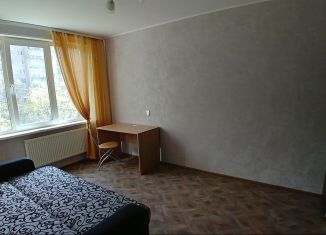 Аренда 1-комнатной квартиры, 30 м2, Санкт-Петербург, улица Шотмана, 12к1, улица Шотмана