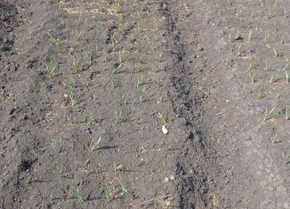 Продажа участка, 15 сот., деревня Кабаково, Парковая улица