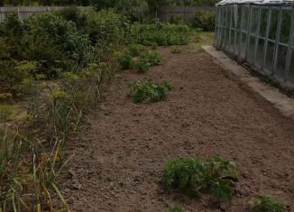 Продаю дачу, 40 м2, Сельцо, улица Мейпариани