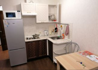 Аренда квартиры студии, 25.5 м2, Мурино, Петровский бульвар, 7, ЖК Ласточка