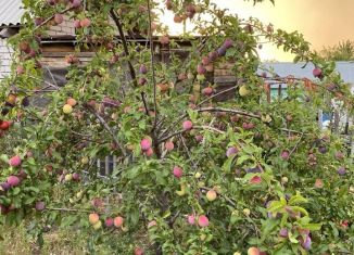 Продаю дачу, 20 м2, СДТ Прогресс, 11-я улица