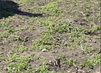 Продажа земельного участка, 6 сот., Черкесск, Берёзовая улица, 11