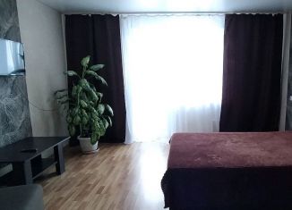 Сдача в аренду однокомнатной квартиры, 42 м2, Челябинская область, 2-й микрорайон, 11А