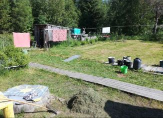 Продам дачу, 40 м2, СНТ Черёмушки-1