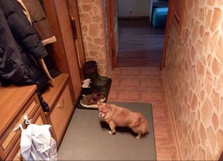 Продаю 2-комнатную квартиру, 47.5 м2, рабочий посёлок Томилино, улица Гаршина, 9Ак11