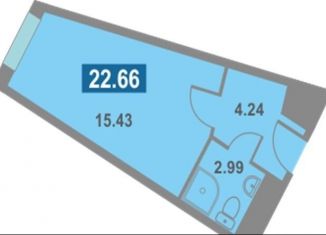 Продаю квартиру студию, 22.7 м2, Санкт-Петербург, муниципальный округ Ивановский, Варфоломеевская улица, 6