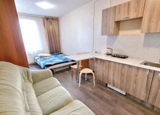 Сдается квартира студия, 25 м2, Мурино, Воронцовский бульвар, 17, ЖК Алфавит