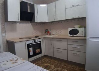 Сдается в аренду двухкомнатная квартира, 58 м2, Славянск-на-Кубани, Отдельская улица