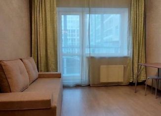 Квартира в аренду студия, 23 м2, деревня Куюки, Молодёжная улица, 29